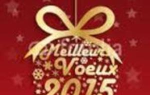 L'O.L.D. VOUS SOUHAITE UNE BONNE ANNEE 2015!!!