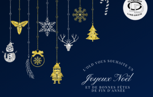 JOYEUX NOEL!!!