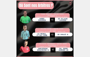 🖤🩷 AGENDA DE NOS ARBITRES 🩷🖤