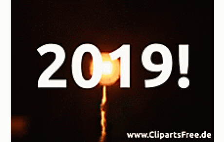 TRES BONNE ANNEE 2019