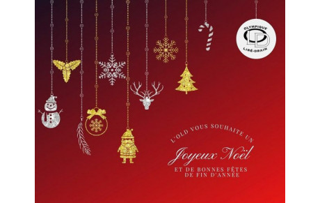 JOYEUX NOEL ET BONNES FETES DE FIN D'ANNÉE