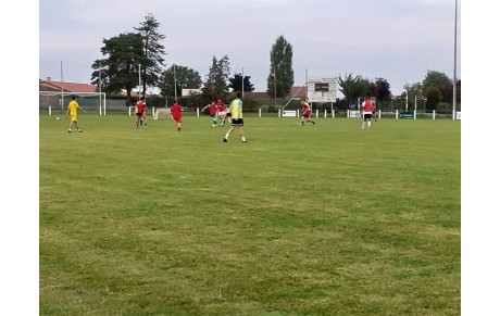 SEMAINE 2 DES SENIORS (19 AOÛT)